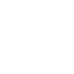 Diagnóstico dermatológico preciso